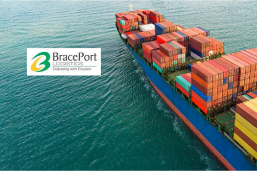 Brace Port Logistics IPO: Dates, Pricing and Allotment 2024