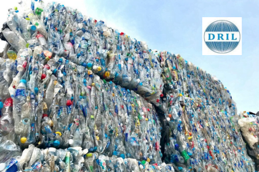 Divyadhan Recycling Industries IPO Allotment Announced, Check on Skyline