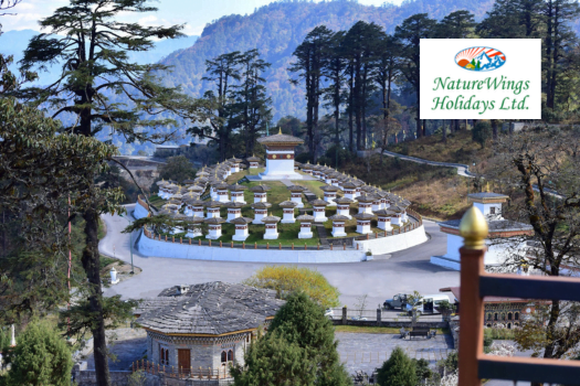 Naturewings Holidays IPO GMP: Latest GMP 2024