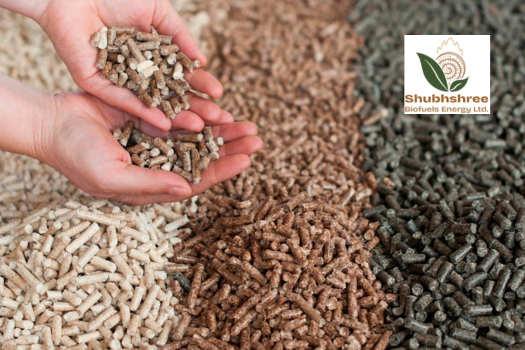 Shubhshree Biofuels Energy IPO: Dates, Pricing and Allotment 2024